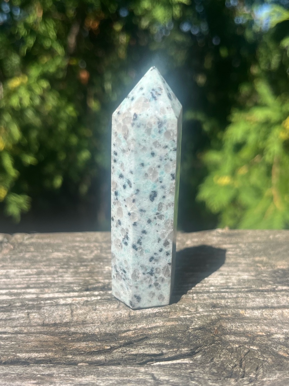 Kiwi Jasper Tower